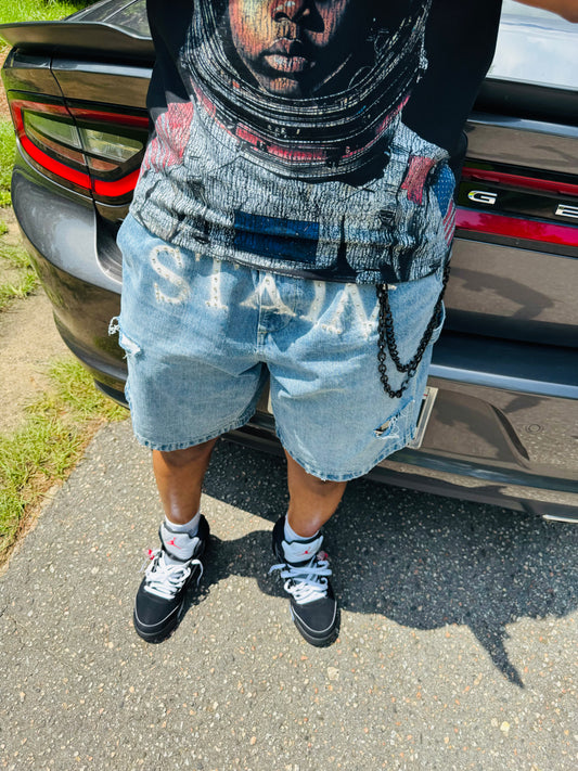 Stain “Bustdown” denim shorts